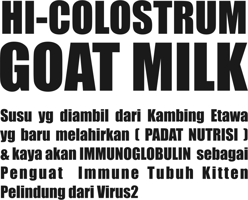 Brand Collab GH Vitamin